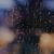 Jamie Bushong's profile image