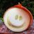 Jan Elizabeth Ryan's profile image