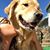 Daniela Isel's profile image