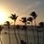 Jeffrey Lamothe's profile image