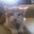 Amy Opper's profile image