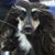 Cheryl Wiggins Brooks's profile image