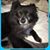 Rachel Johnson Gage's profile image