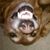 Eric Moore's profile image