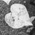 Jane Sletto's profile image