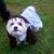 Penelope Buell's profile image