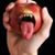 Kelly Hughes's profile image