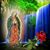 Guadalupe Rodriguez's profile image