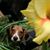 Paula Atkinson's profile image