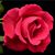 Darlene M Bruns's profile image