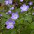 Craig M. Fraiser's profile image