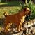 Brenda Hemphill-Bryan's profile image