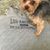 Kristine Marie Garcia's profile image