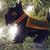 Vicki Porter Ostergard's profile image