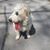 Laura Stanek's profile image