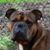 Marian L Knott's profile image