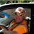 Brian Randall's profile image