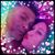 Christina Miramontes's profile image