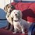 Brigid Gunter's profile image