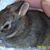 Helen Jones Wyre's profile image