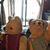 Angie Herrington's profile image