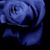 Nathan Light's profile image