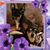 Lori Baumgartner's profile image