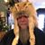 Bill Cruse's profile image