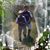 Nora Adriana Paredes's profile image