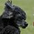 Anne Truesdale's profile image