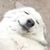 Jeff Strigosus's profile image