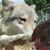 Howard R Hyde's profile image