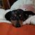 Sherry L Glass's profile image
