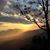 Bonnie Van Nelson-Bushee's profile image