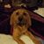 Dee Lowrey Wimberley's profile image