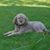 Jeannie Noland's profile image