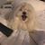 Teri Couture's profile image