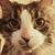 Mona Bulpitt Kreitner's profile image