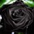 Kimberly K. Peeks-Simmons's profile image