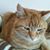 Linda Cloud Guest's profile image
