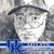 Ed Helton's profile image