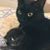 Meg Faunce's profile image