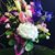 Lynn Taylor's profile image