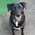Cheryl Henneberry's profile image