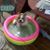 Bert Fernandez's profile image