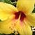 Annette Fennell's profile image