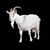 DA LeeSr's profile image