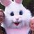 Mary J. Steichen's profile image