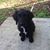 Patti Salizzoni's profile image
