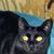 Denise Heimel's profile image